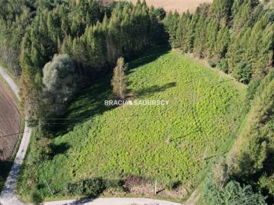                                     Lots for Sale  Alwernia (Gw)
                                     | 8900 mkw