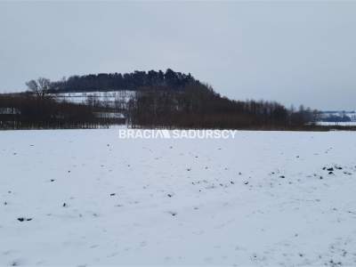                                     Lots for Sale  Koniusza
                                     | 4800 mkw