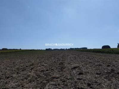                                     Lots for Sale  Iwanowice
                                     | 23281 mkw