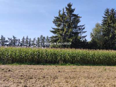                                     Lots for Sale  Iwanowice
                                     | 23281 mkw