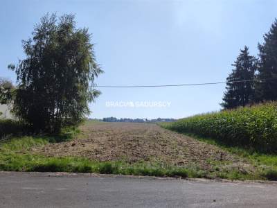                                     Lots for Sale  Iwanowice
                                     | 23281 mkw