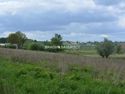                                     Lots for Sale  Koniusza
                                     | 1464 mkw