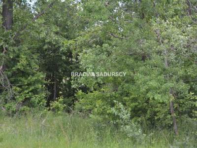                                     Lots for Sale  Koniusza
                                     | 1464 mkw