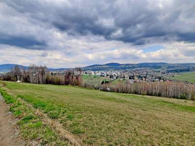                                     Działki na Sprzedaż  Jordanów
                                     | 3959 mkw