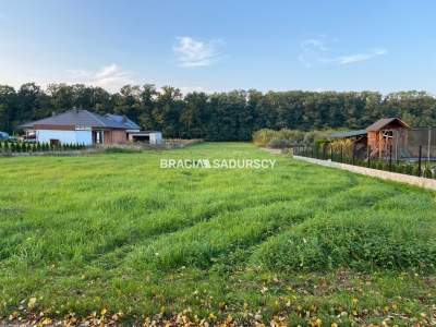         Lots for Sale, Dąbrowa Tarnowska, Spokojna | 4200 mkw