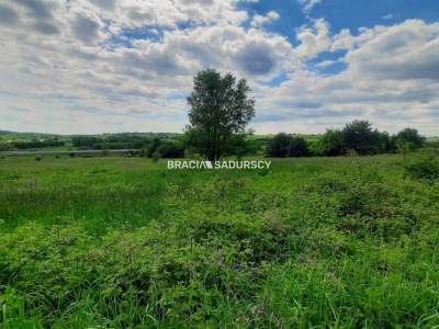                                     Lots for Sale  Krzeszowice (Gw)
                                     | 2013 mkw