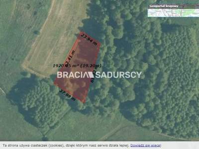                                     Lots for Sale  Krzeszowice (Gw)
                                     | 1992 mkw