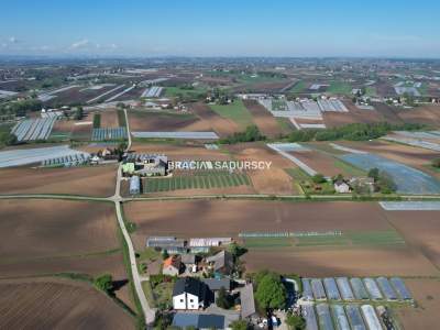                                     Lots for Sale  Koniusza
                                     | 9964 mkw