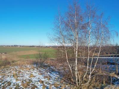                                     Lots for Sale  Jerzmanowice-Przeginia
                                     | 1511 mkw