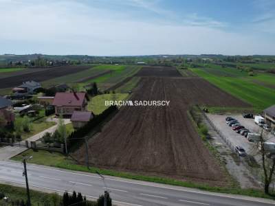                                     Lots for Sale  Koniusza
                                     | 16768 mkw