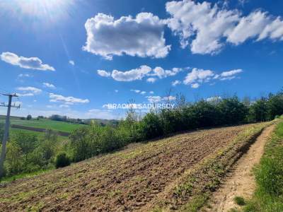                                     Działki na Sprzedaż  Iwanowice
                                     | 27070 mkw