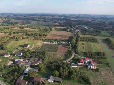                                     Lots for Sale  Iwanowice
                                     | 2447 mkw