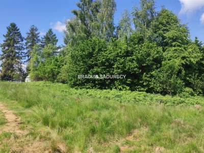                                     Grundstücke zum Kaufen  Wieliczka (Gw)
                                     | 10500 mkw