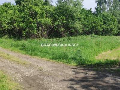                                     Lots for Sale  Wieliczka (Gw)
                                     | 10500 mkw