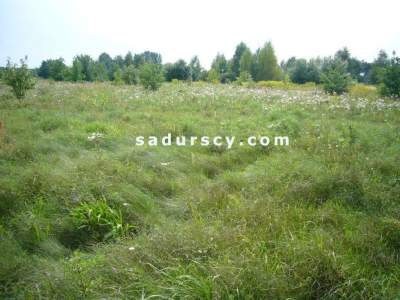                                     Lots for Sale  Lesznowola
                                     | 1000 mkw