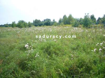                                     Lots for Sale  Lesznowola
                                     | 1000 mkw