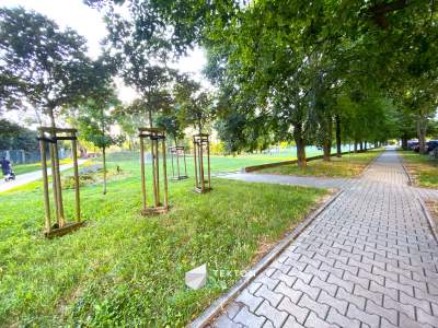         Flats for Sale, Opole, Alojzego Dambonia | 47.5 mkw