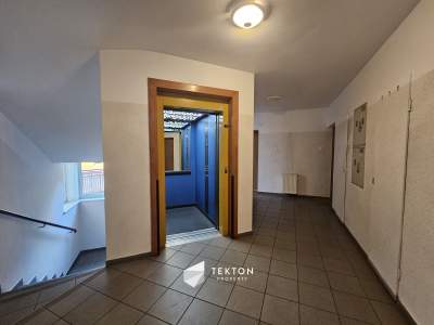         Apartamentos para Alquilar, Poznań, Polanka | 63 mkw