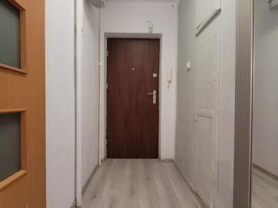         Flats for Rent , Katowice, Przedwiośnie | 31 mkw